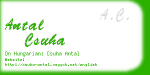 antal csuha business card